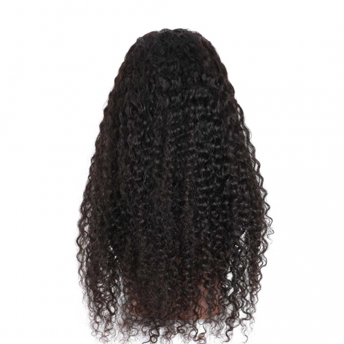 Curly Human Hair Lace Front Wigs 13x4 13x6 African American Wigs Thick HAIRCC HAIR