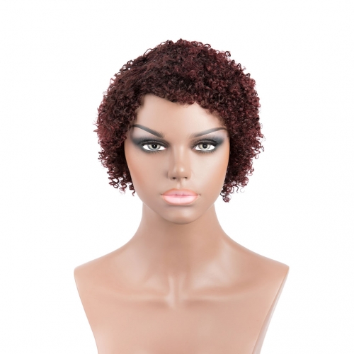Short African Wigs 100% Human Hair Wigs Evova Machine Made Non Lace Wigs